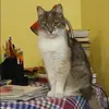 Отзыв от Яна Блинова